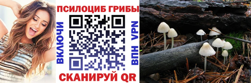 МЕГА ТОР  Шацк  Псилоцибиновые грибы мицелий 